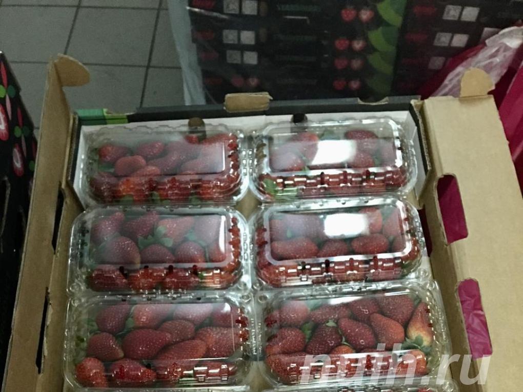 Клубника для производства клубники в шоколаде,