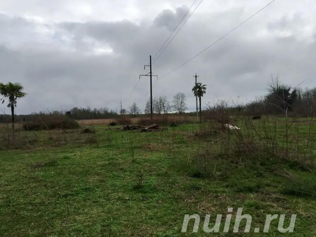 Продается готовый бизнес в Абхазии,
