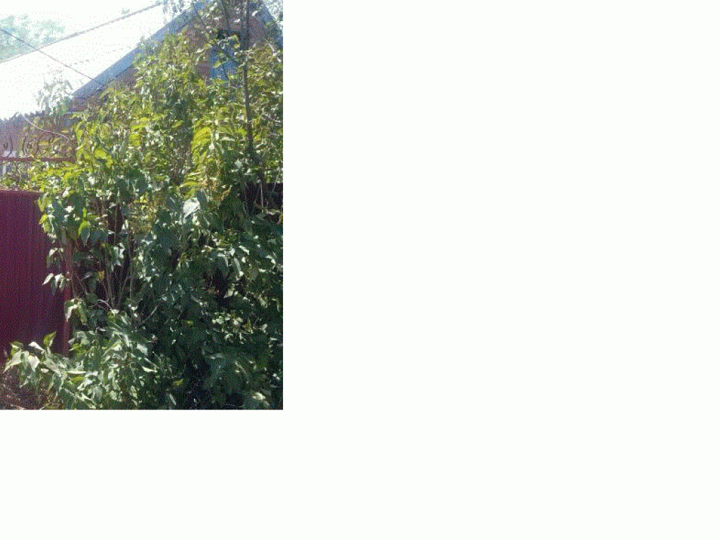 Продаю дача , 37 кв.м , кирпичный,