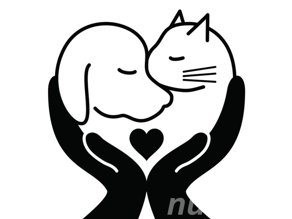 Кремация кошек в городе Тула и Тульская ...,