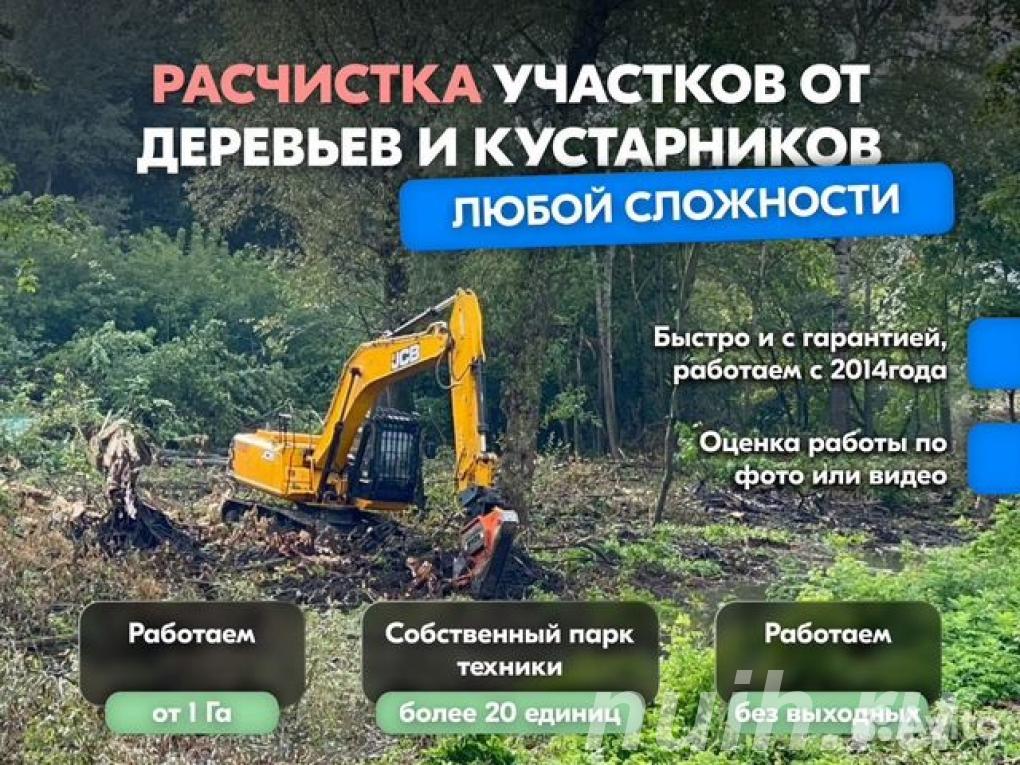 Расчистка территорий от деревьев и пней от 1 ...,